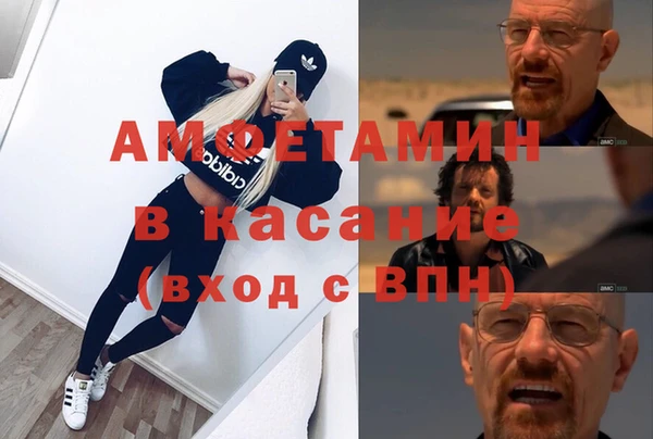 крисы Верея